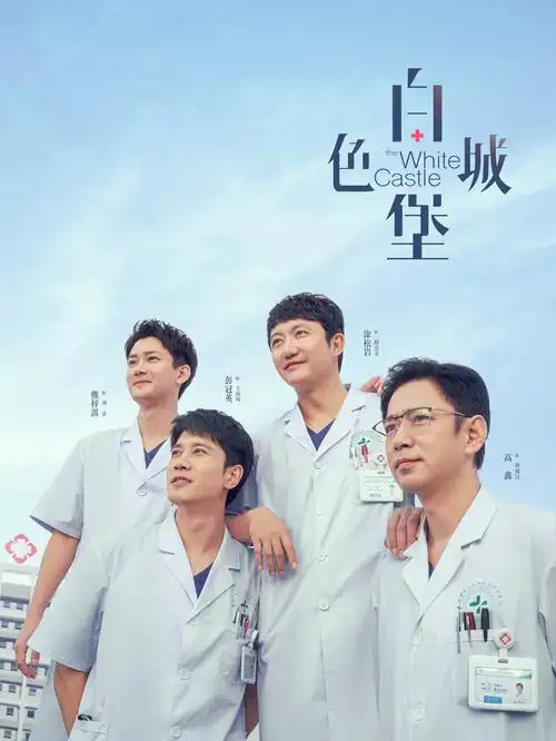 无声的证明 海报